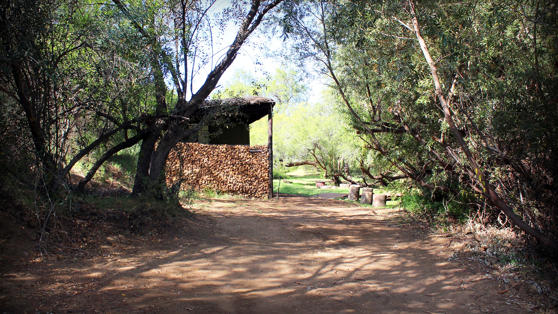 Path leading to forest ablution facilities with firewood storage