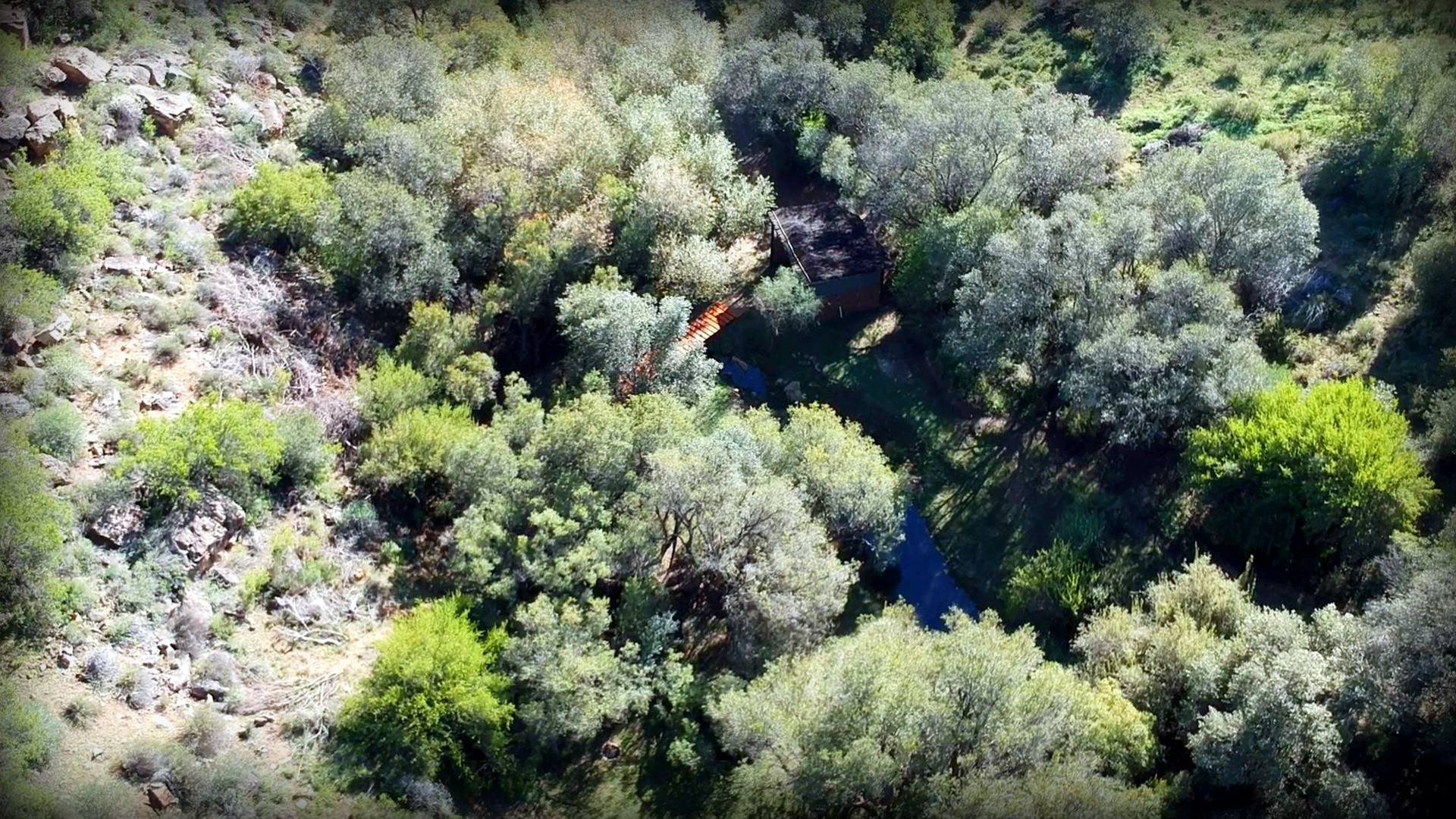 Aerial view of Forest Private Campsite showing dense tree canopy and natural setting