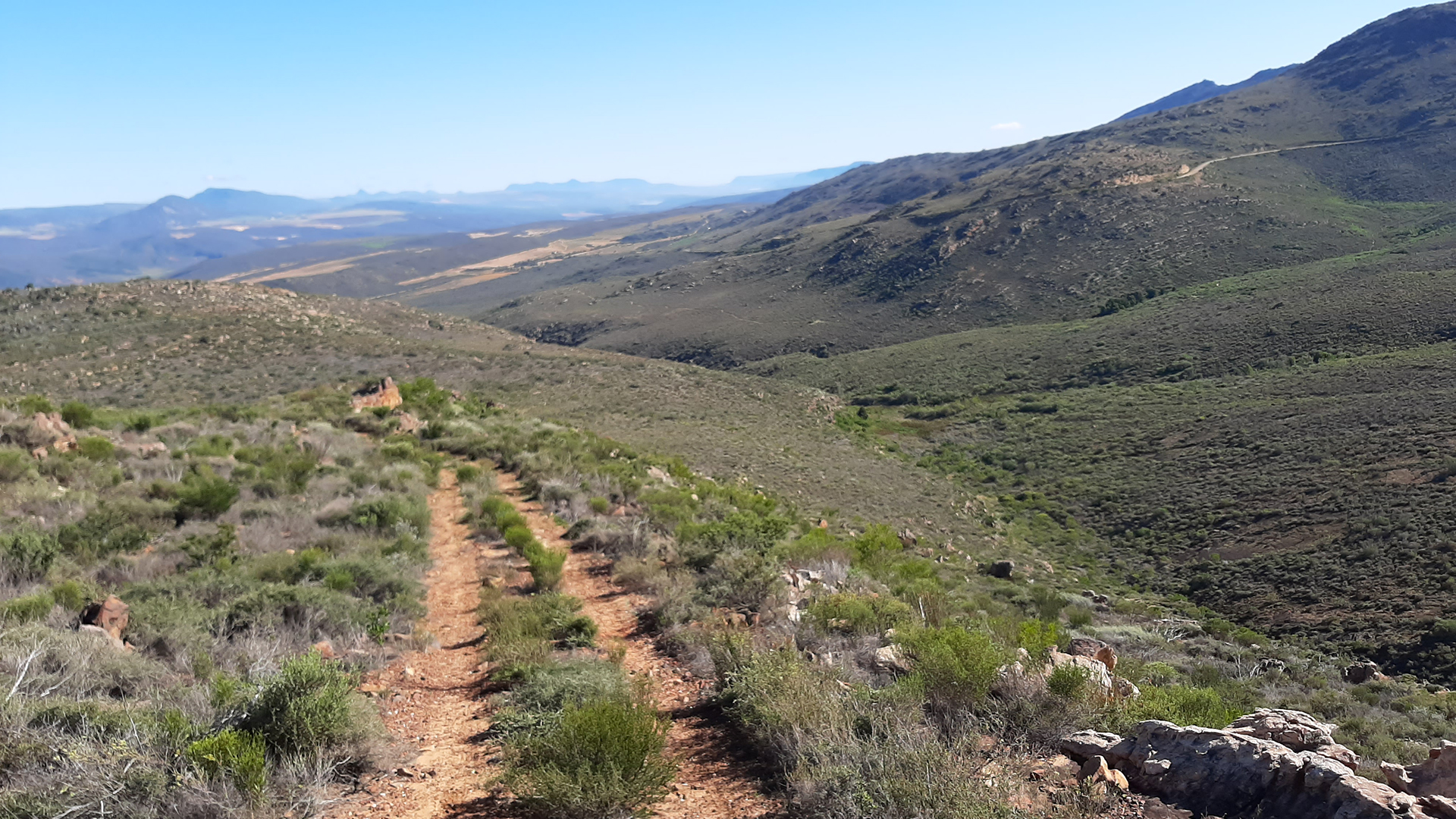 4x4 dirt track winding through Cederberg fynbos with mountain views