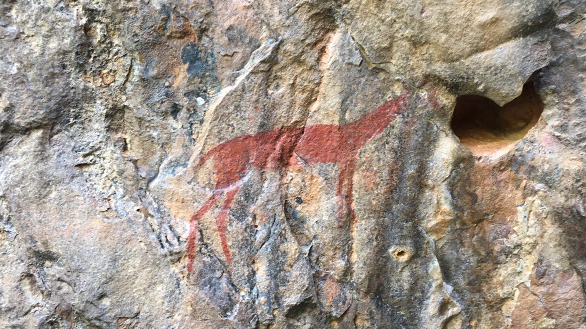 Detailed San rock art showing painted human and animal figures