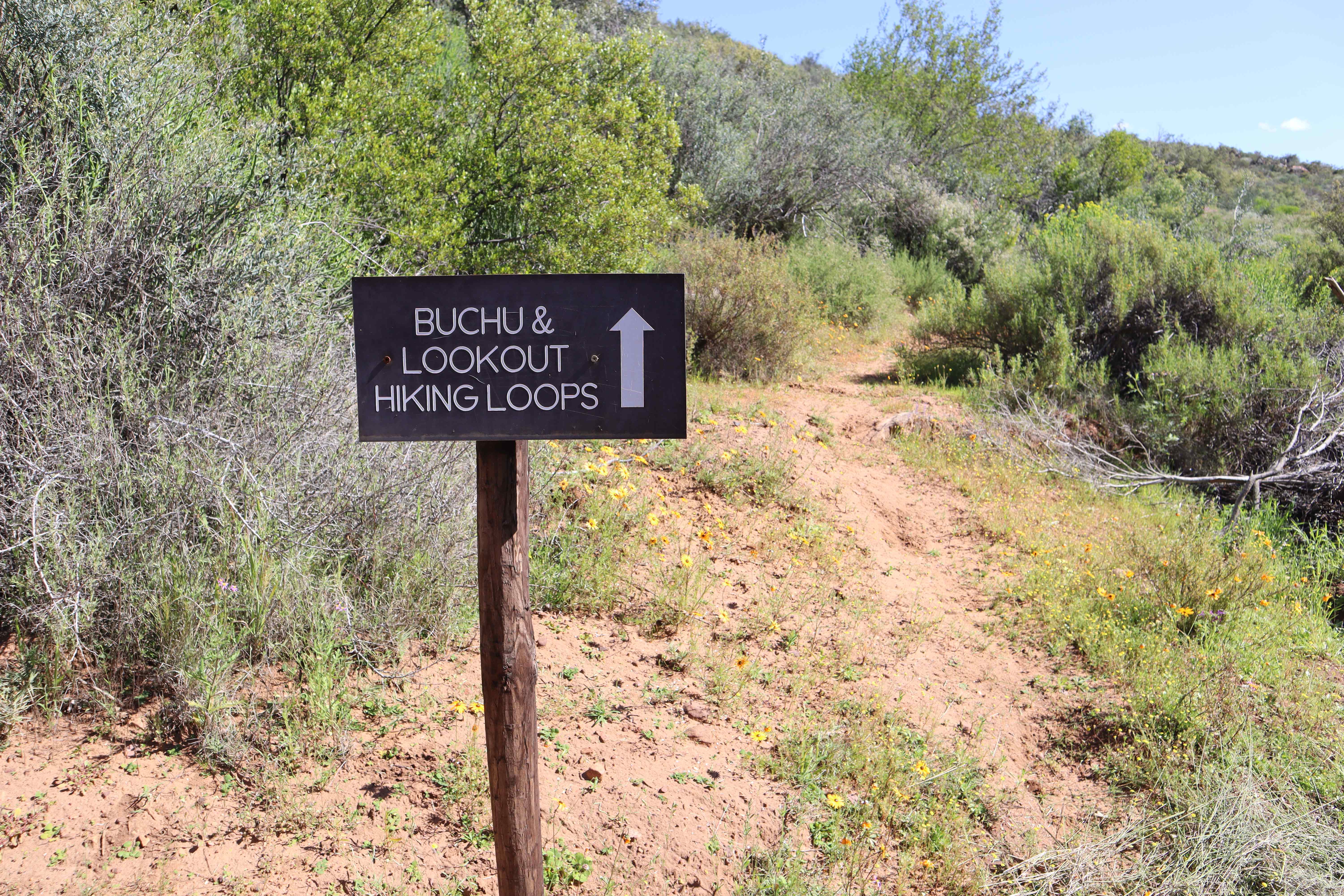 Buchu & Lookout Hiking Loops Trail Sign